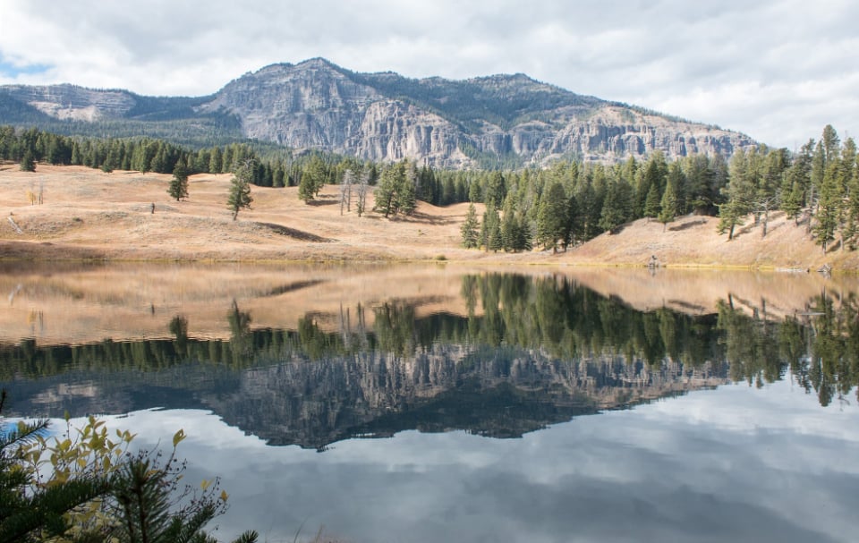 A mountain lake on a bright, cloudy day, pale grass and pines reflected in still water.
